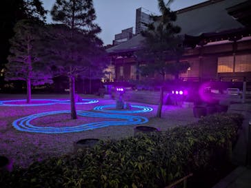 ZEN NIGHT WALK KAMAKURAに投稿された画像（2025/11/17）