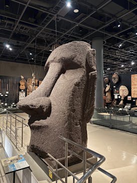 国立民族学博物館に投稿された画像（2025/11/17）