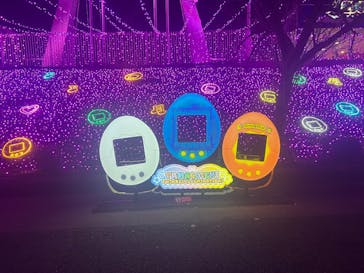 さがみ湖MORI MORIに投稿された画像（2025/11/17）