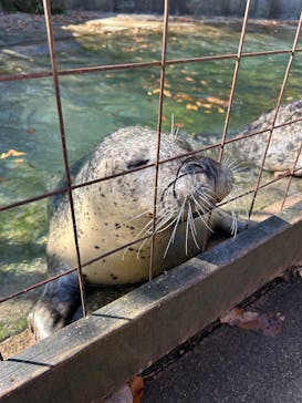 那須どうぶつ王国に投稿された画像（2025/11/17）