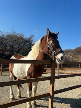 那須どうぶつ王国に投稿された画像（2025/11/17）