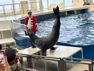 アクアワールド茨城県大洗水族館に投稿された画像（2025/11/17）