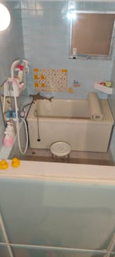 Mozuミニチュア展　ようこそ、ちいさな世界へ。in 銀座（銀座三越）に投稿された画像（2025/11/17）