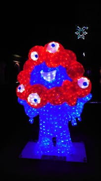 神戸イルミナージュに投稿された画像（2025/11/17）