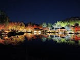 国営昭和記念公園 秋の夜散歩に投稿された画像（2025/11/17）