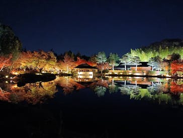 国営昭和記念公園 秋の夜散歩に投稿された画像（2025/11/17）