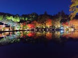 国営昭和記念公園 秋の夜散歩に投稿された画像（2025/11/17）