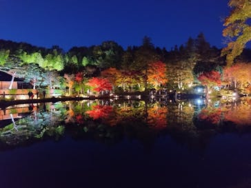 国営昭和記念公園 秋の夜散歩に投稿された画像（2025/11/17）