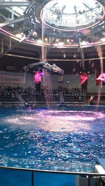 マクセル アクアパーク品川に投稿された画像（2025/11/17）