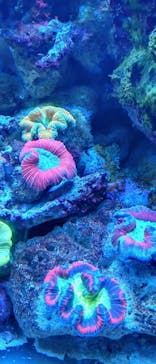 マクセル アクアパーク品川に投稿された画像（2025/11/17）