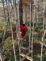 フォレストアドベンチャー・長野に投稿された画像（2025/11/17）