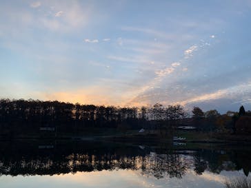 フォレストアドベンチャー・長野に投稿された画像（2025/11/17）