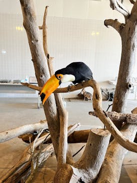 霞ケ浦 どうぶつとみんなのいえに投稿された画像（2025/11/17）