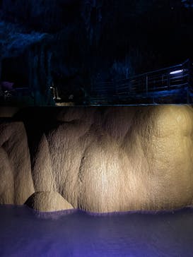 おきなわワールドに投稿された画像（2025/11/17）