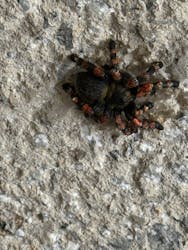 ネオパークオキナワに投稿された画像（2025/11/17）