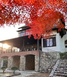 博物館 明治村に投稿された画像（2025/11/17）