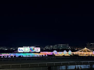 東京メガイルミに投稿された画像（2025/11/17）