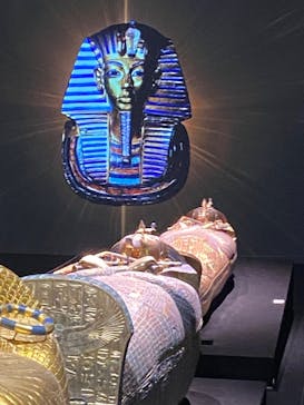 MYSTERY OF TUTANKHAMEN 体感型古代エジプト展に投稿された画像（2025/11/17）