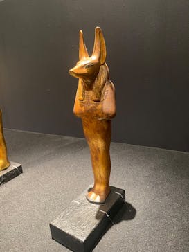 MYSTERY OF TUTANKHAMEN 体感型古代エジプト展に投稿された画像（2025/11/17）