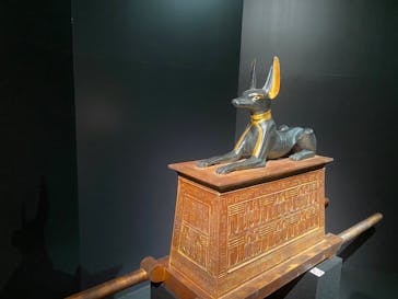 MYSTERY OF TUTANKHAMEN 体感型古代エジプト展に投稿された画像（2025/11/17）