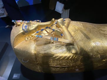 MYSTERY OF TUTANKHAMEN 体感型古代エジプト展に投稿された画像（2025/11/17）