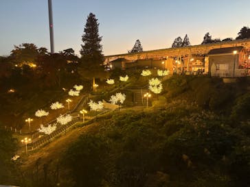 西武園ゆうえんちに投稿された画像（2025/11/17）