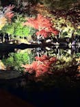 国営昭和記念公園 秋の夜散歩に投稿された画像（2025/11/17）