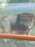 多摩動物公園に投稿された画像（2025/11/17）