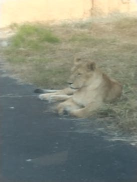 多摩動物公園に投稿された画像（2025/11/17）