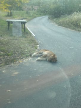 多摩動物公園に投稿された画像（2025/11/17）