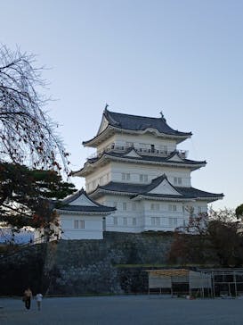 小田原城に投稿された画像（2025/11/17）