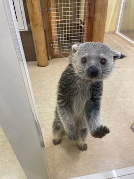 アニタッチ MARK IS 静岡に投稿された画像（2025/11/17）