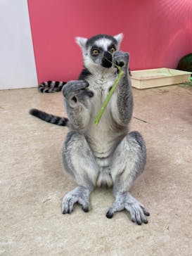 アニタッチ MARK IS 静岡に投稿された画像（2025/11/17）