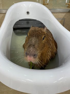 アニタッチ MARK IS 静岡に投稿された画像（2025/11/17）