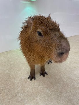 アニタッチ MARK IS 静岡に投稿された画像（2025/11/17）