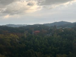 みろくの里に投稿された画像（2025/11/17）