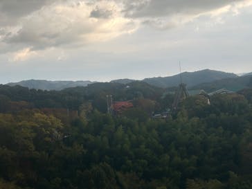 みろくの里に投稿された画像（2025/11/17）