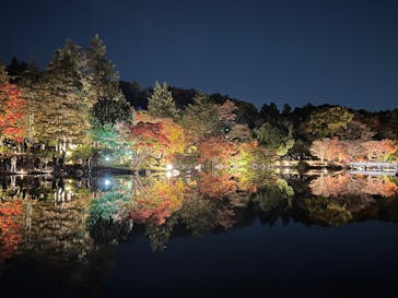 国営昭和記念公園 秋の夜散歩に投稿された画像（2025/11/17）