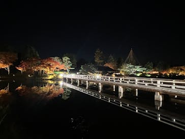 国営昭和記念公園 秋の夜散歩に投稿された画像（2025/11/17）