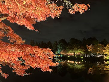 国営昭和記念公園 秋の夜散歩に投稿された画像（2025/11/17）