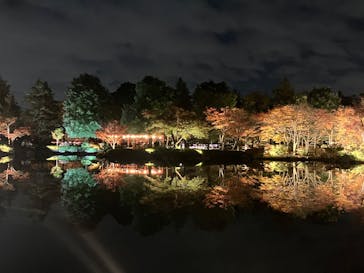 国営昭和記念公園 秋の夜散歩に投稿された画像（2025/11/17）