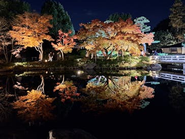 国営昭和記念公園 秋の夜散歩に投稿された画像（2025/11/17）