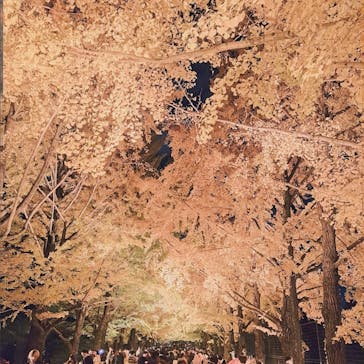 国営昭和記念公園 秋の夜散歩に投稿された画像（2025/11/17）