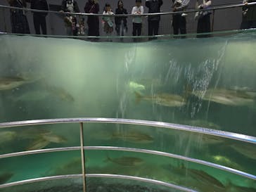 城崎マリンワールドに投稿された画像（2025/11/17）