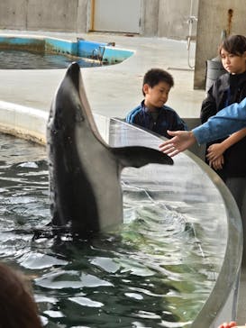 城崎マリンワールドに投稿された画像（2025/11/17）