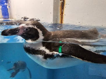 城崎マリンワールドに投稿された画像（2025/11/17）