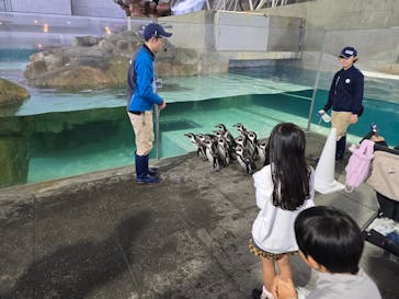 城崎マリンワールドに投稿された画像（2025/11/17）