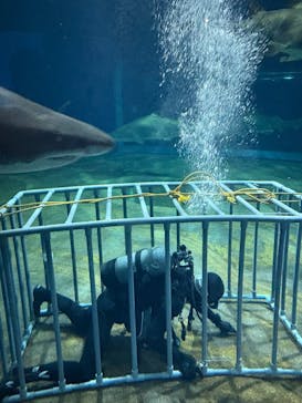 アクアワールド茨城県大洗水族館に投稿された画像（2025/11/17）