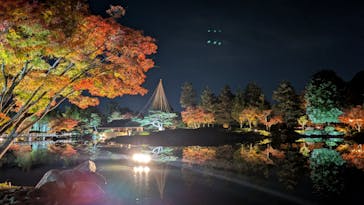 国営昭和記念公園 秋の夜散歩に投稿された画像（2025/11/17）