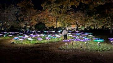 国営昭和記念公園 秋の夜散歩に投稿された画像（2025/11/17）